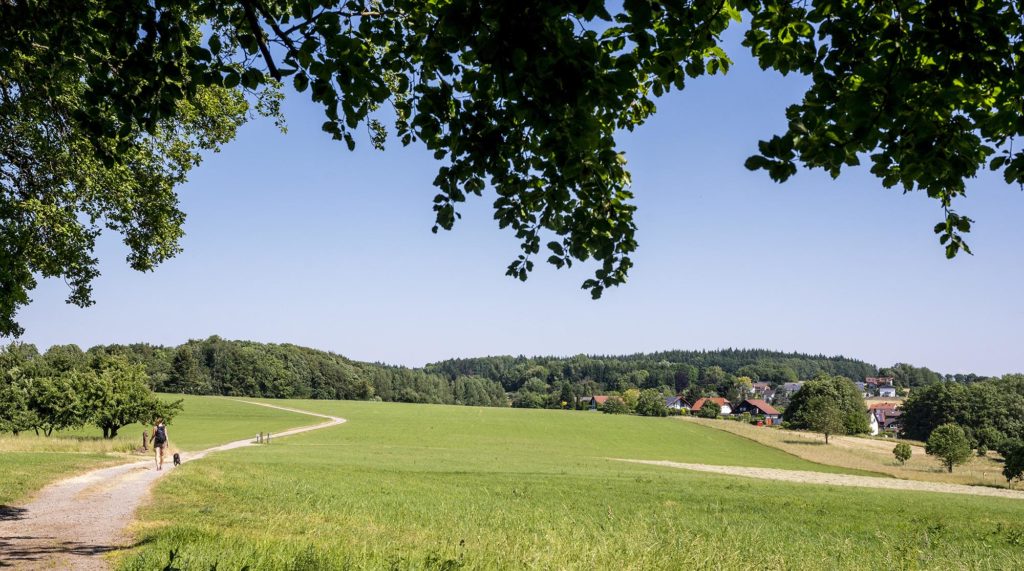 Blick auf Ober-Abtsteinach in der Ferne rechts umgeben von Wald und Feldern