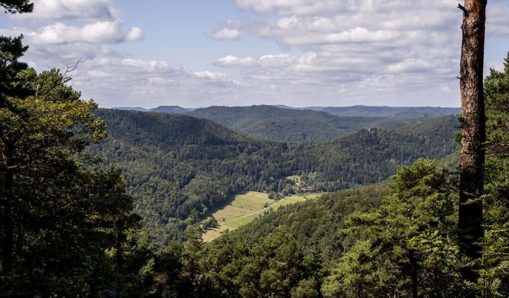 Aussicht aus dem Pfälzerwald Richtung Westen auf das ganz von Wald umgebene kleine Modenbachtal