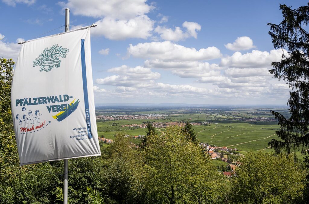 Aussicht über die Weinberge auf das Rheintal vom Schweizer Haus